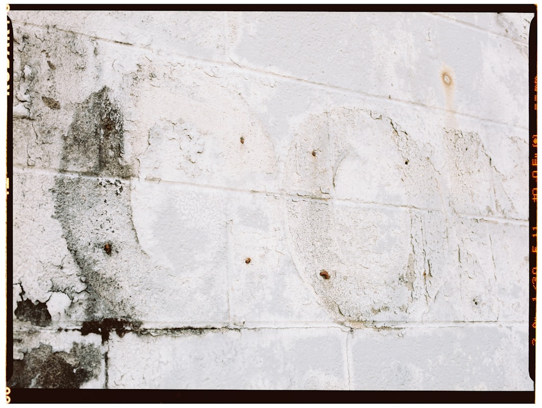 Flood Cleanup service in Buena Park, CA