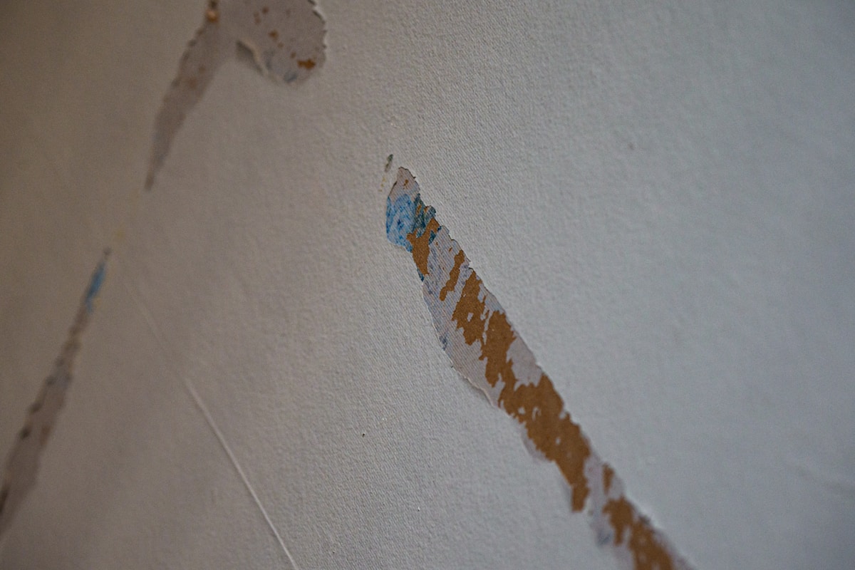 Water Extraction service in Buena Park, CA